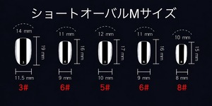 ネイルチップ：IMP260063　NailTipCollection
