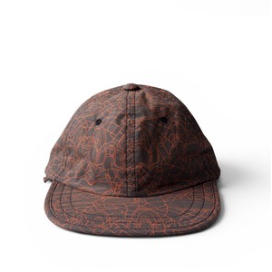 NOROLL, OUTDATED CAP / GASIUS