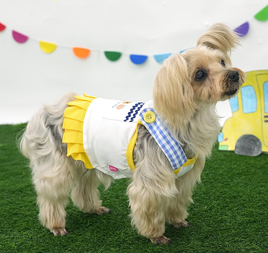 【予約商品5％OFF】pleats crop onepiece S ~ XL 2color  /  犬服 春夏 新作 可愛い 犬の服 ワンピース ショート丈 袖なし crop top お揃い ドッグウェア 涼しい ストレッチ シンプル