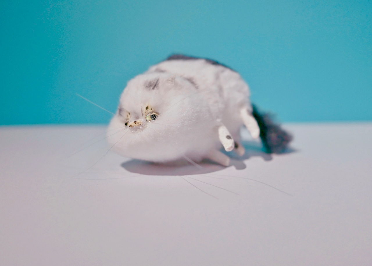 ヤン・ノ・カー