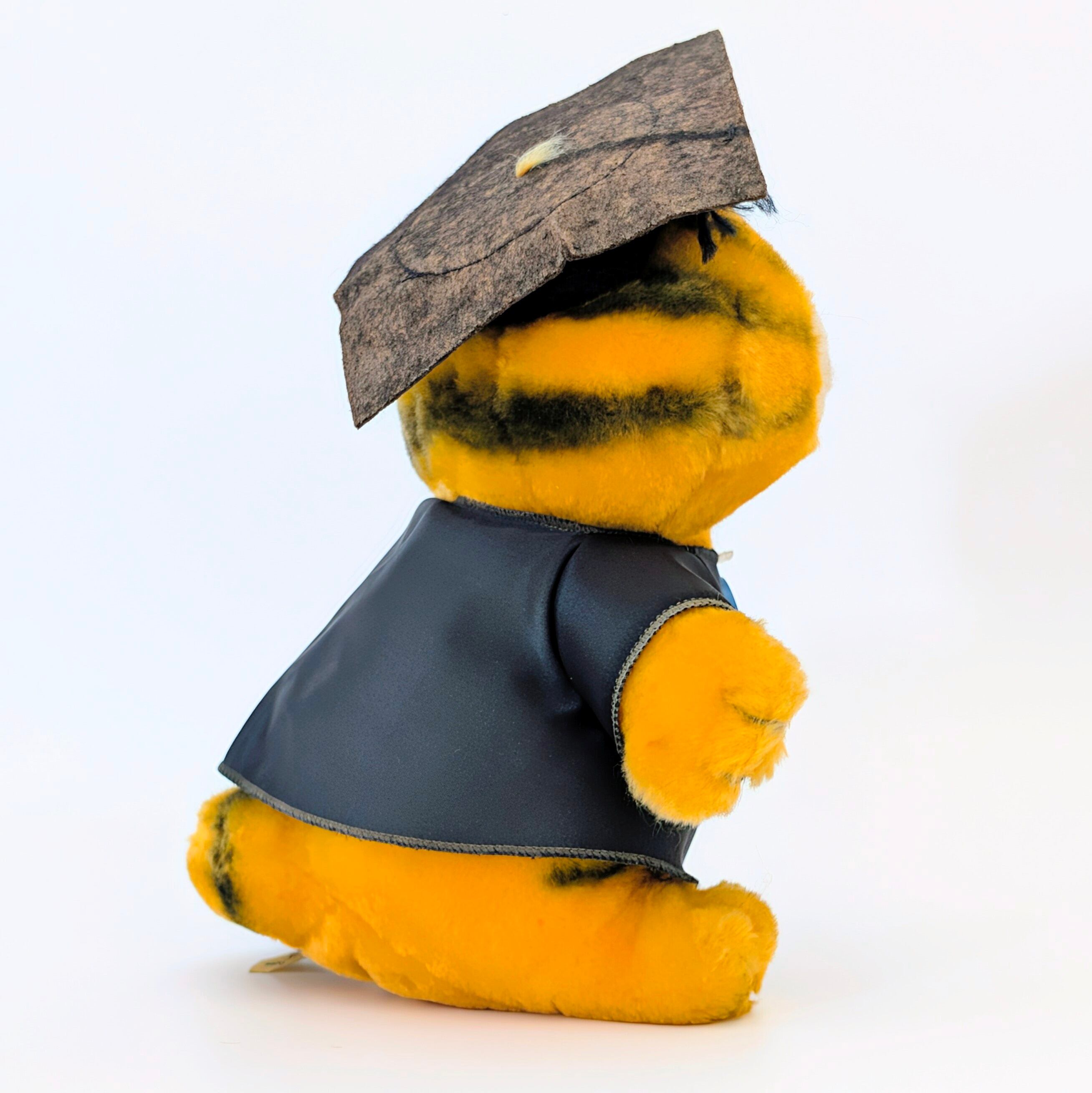 ☆ VINTAGE 1980年代初期 ☆【 Garfield ( ガーフィールド ) 】『 卒業式Garfield DAKINタグ付 』ぬいぐるみ / プラッシュ / plush / 1980年代年製 〚アメリカン雑貨 アメトイ〛