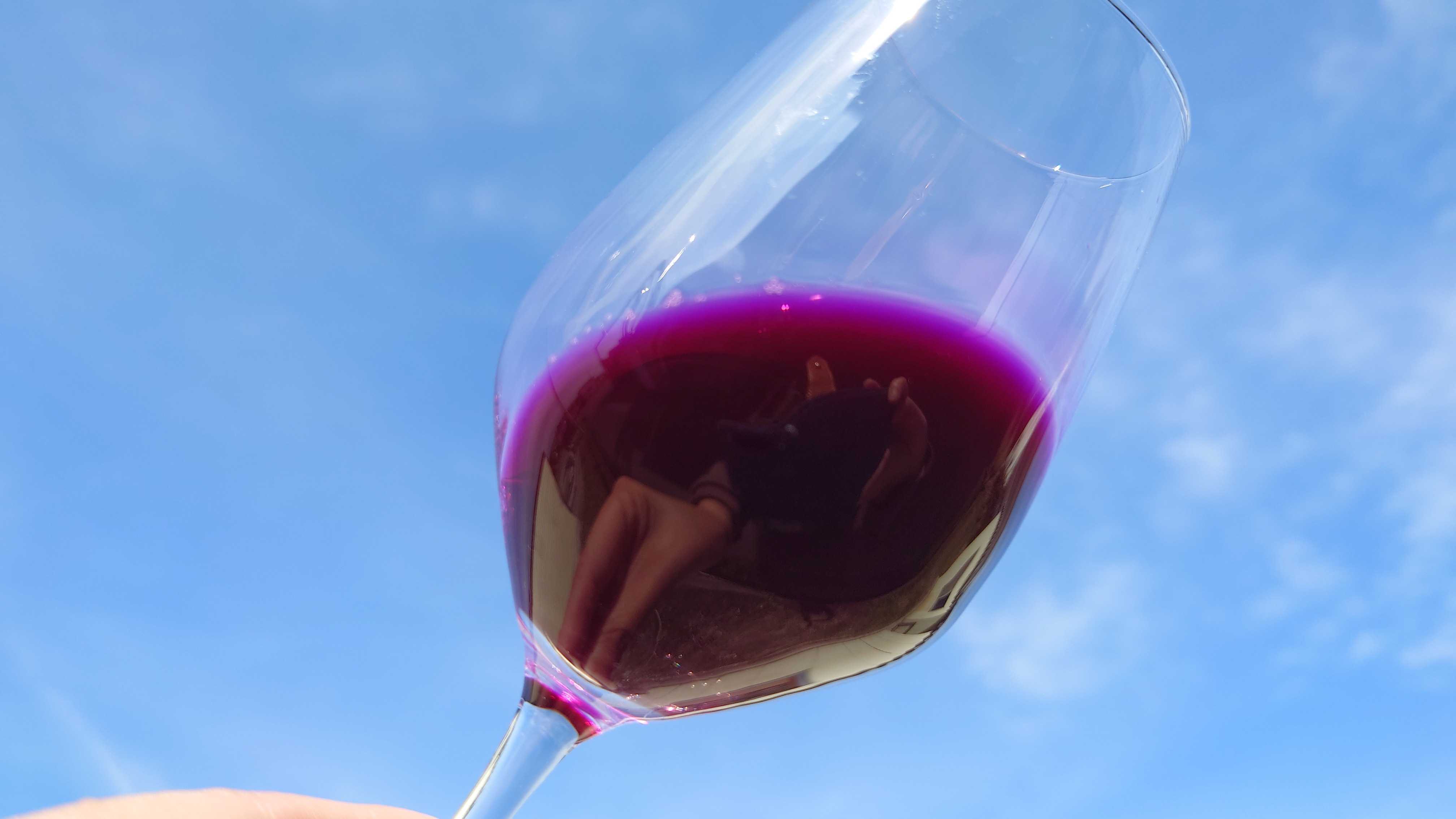 テレビで紹介‼ 果恋ー KARENー 無添加生絞りぶどうジュース