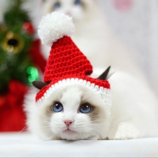 予約 ペットコスプレ クリスマス サンタ帽子 ニット帽子 ペット用帽子