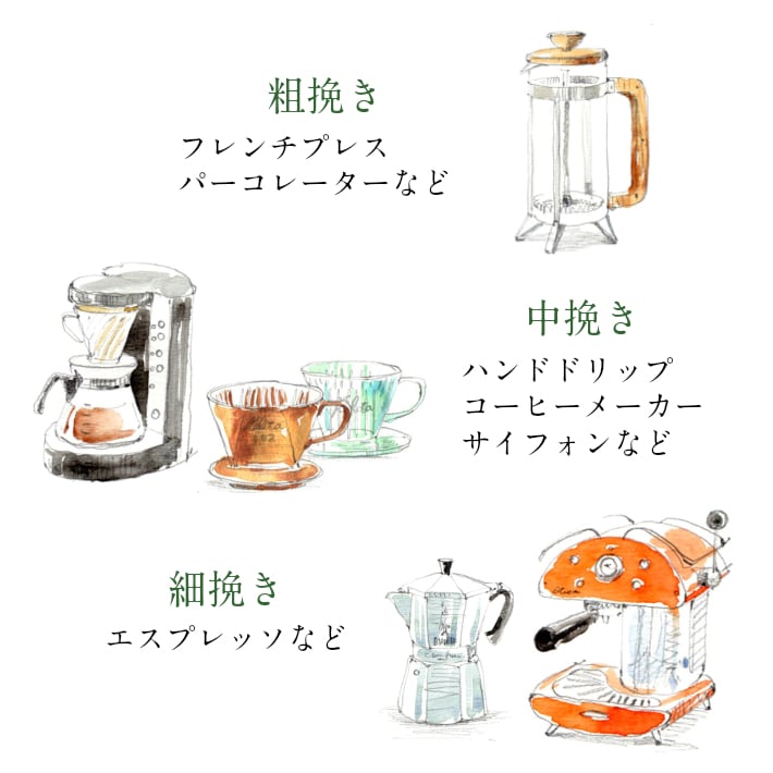 コーヒー生豆（グアテマラ·エチオピア） ２種セット 初回限定】コーヒー豆3種お試しセット【ブレンド/グァテマラ