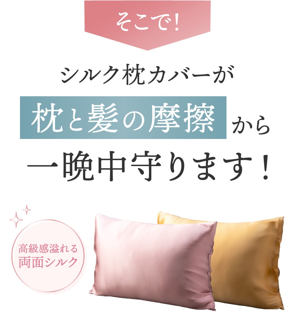 ふるさと納税対象》 【silkTo】 枕カバー 両面シルク シルク 絹 100