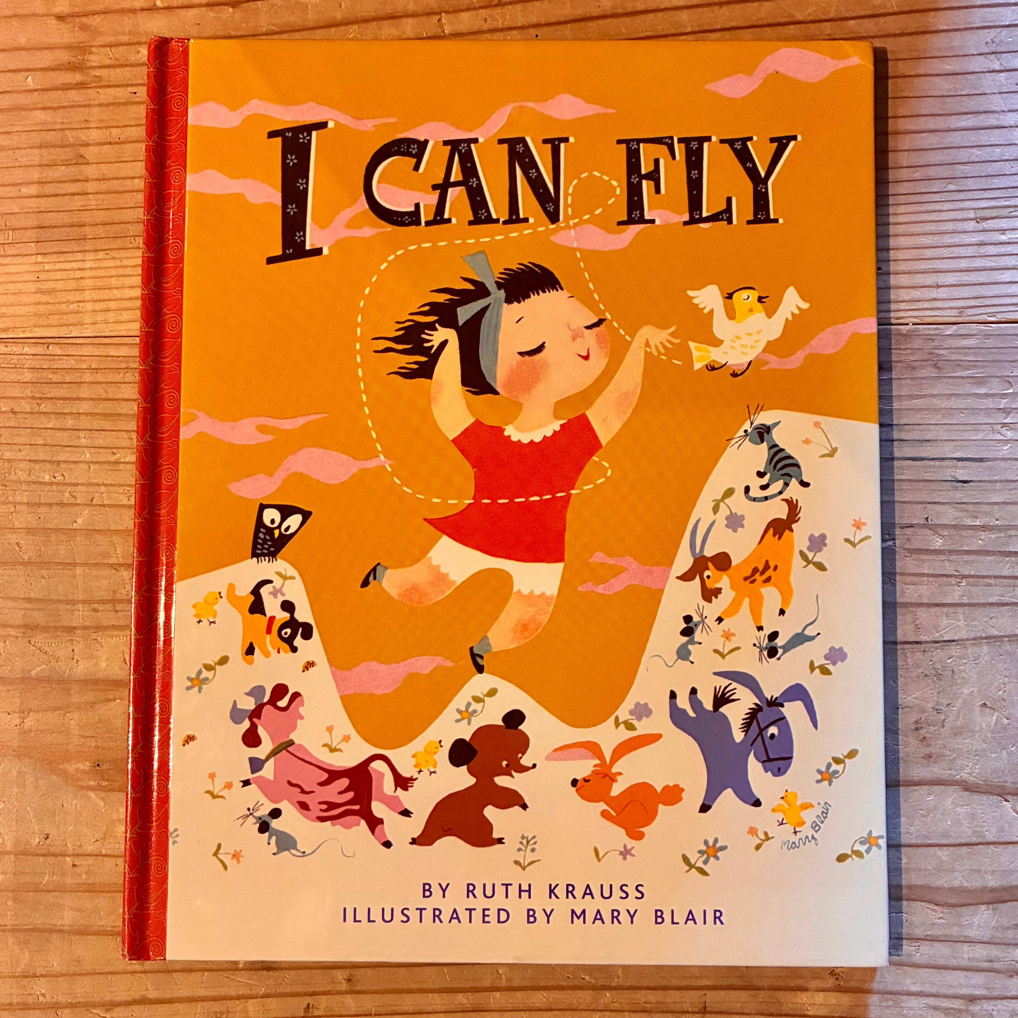 古本】I Can Fly | ホホホ座 西田辺 絵本・新刊本・古本