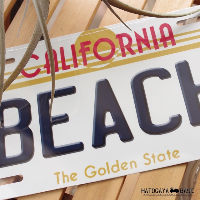 ライセンスプレート CALIFORNIA BEACH [LPCB0001]