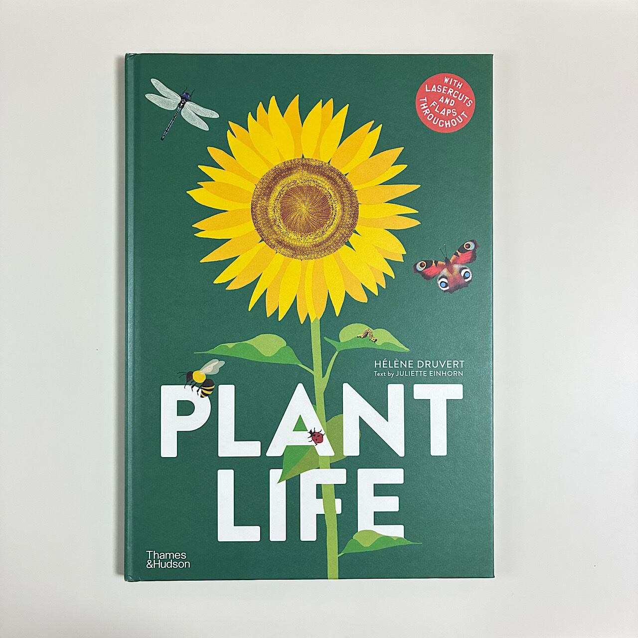 □ しかけ絵本 | 素敵な洋書の絵本屋さん Read Leaf Books