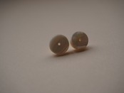 【 WAVE 】circle shell pierce