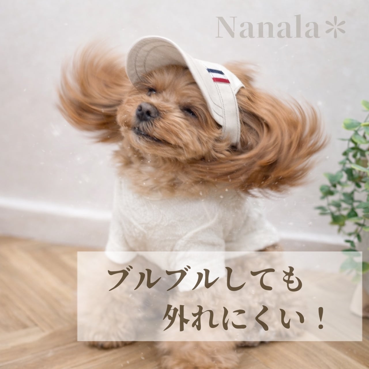 新型】レッド | Nanala＊