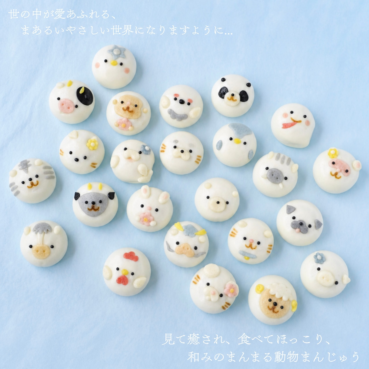 【選べる】まんまる動物まんじゅう12個入