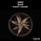 【送料無料】Dyckia braunii × macedoi〔ディッキア〕現品発送D545