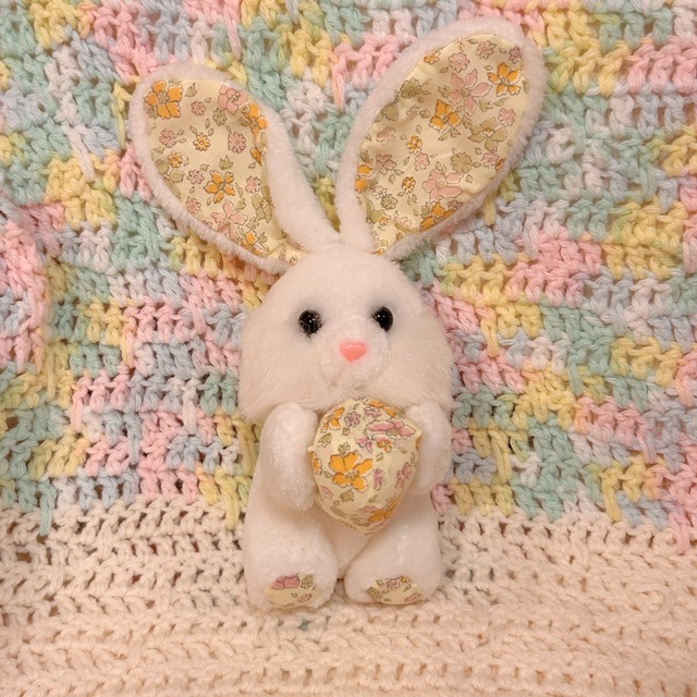 usagiの画像