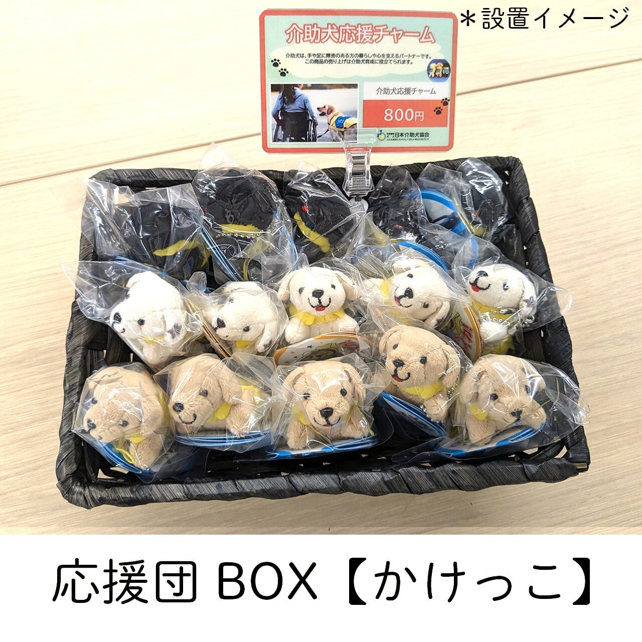 介助犬応援団BOXセット | （社福）日本介助犬協会チャリティグッズ