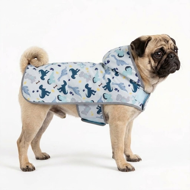 Reversible Raincoat  -dinosaur-　　t-item-0646