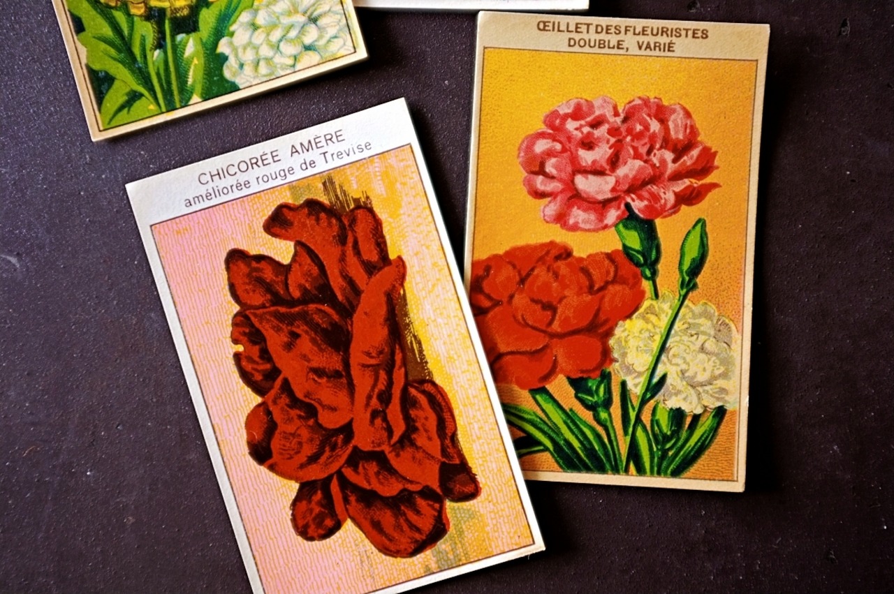 20s フランス 4set 膨満な花々と野菜たち 種子袋用ラベルt アンティーク