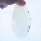 Sicilian Lemon 02 - アゲートヒーリングチャイム / Agate Sun Catcher Wind Chime 321