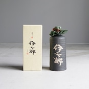 【伊七郎】陶器入り 720ml ※抽選商品※