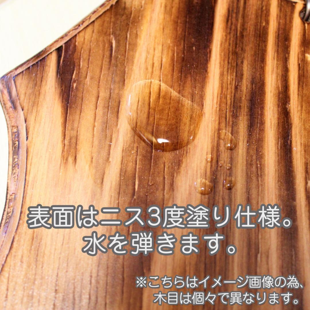 板付け用 着生板 G型 大サイズ【ハンギングボード 着生ボード