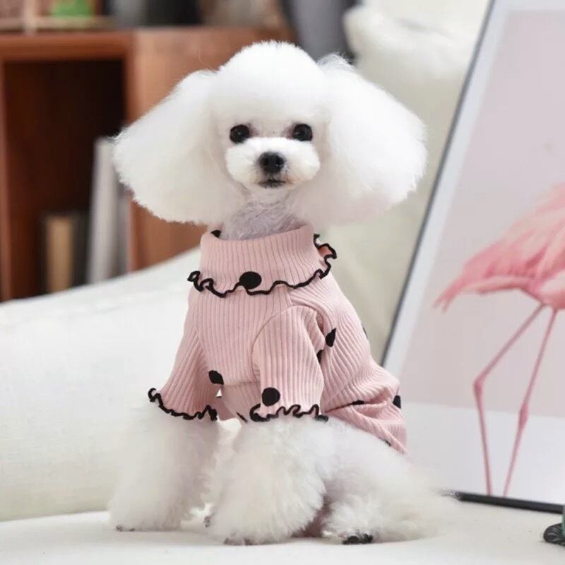 ドットフリルTシャツ 犬服 韓国犬服 | amoureternel
