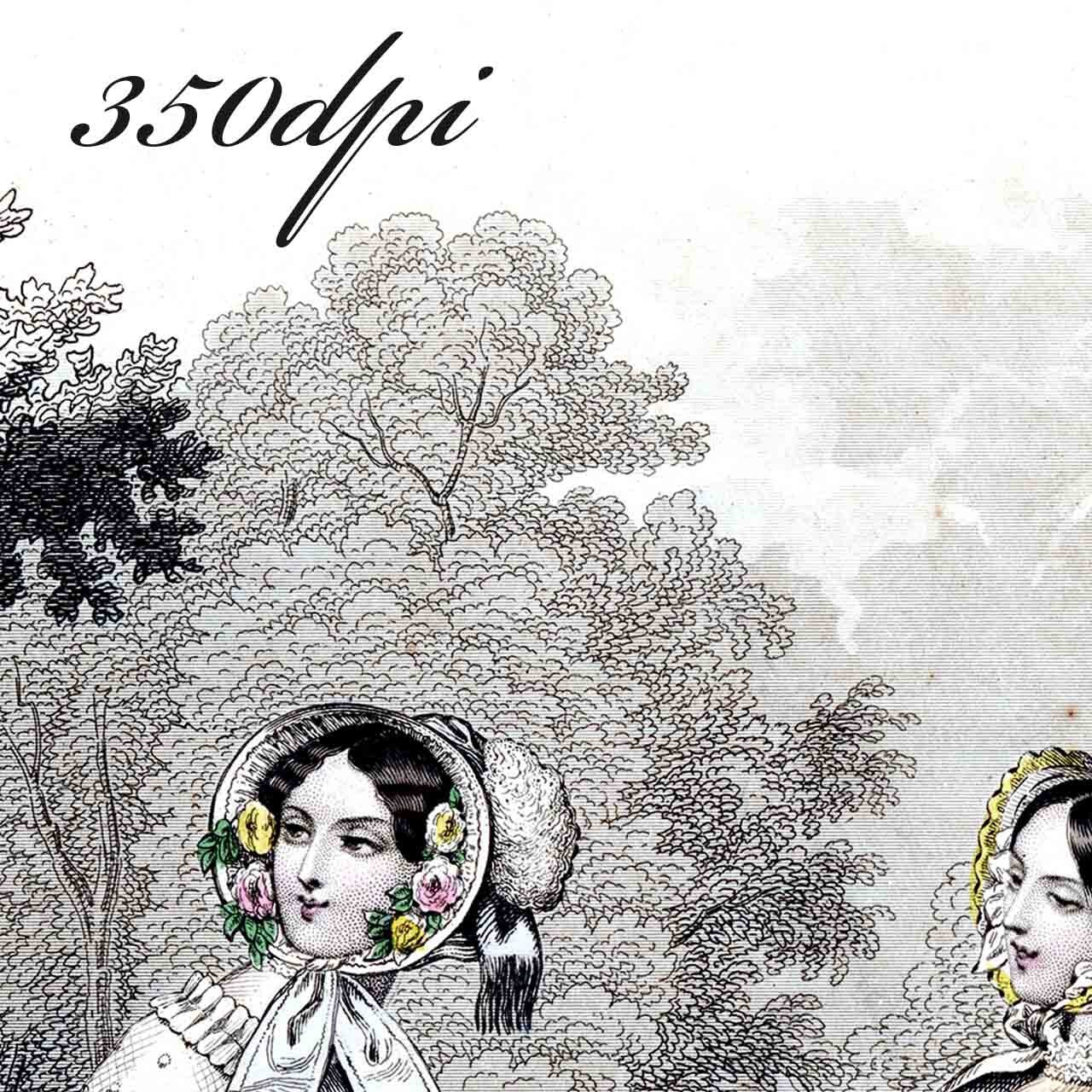 No.VII 1850年『Journal des Demoiselles』手彩色リトグラフ データ | A.M. Data powered by  BASE