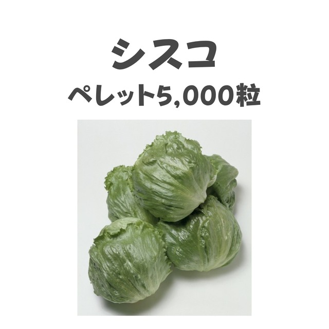 シスコ　レタス種子・ペレット5,000粒