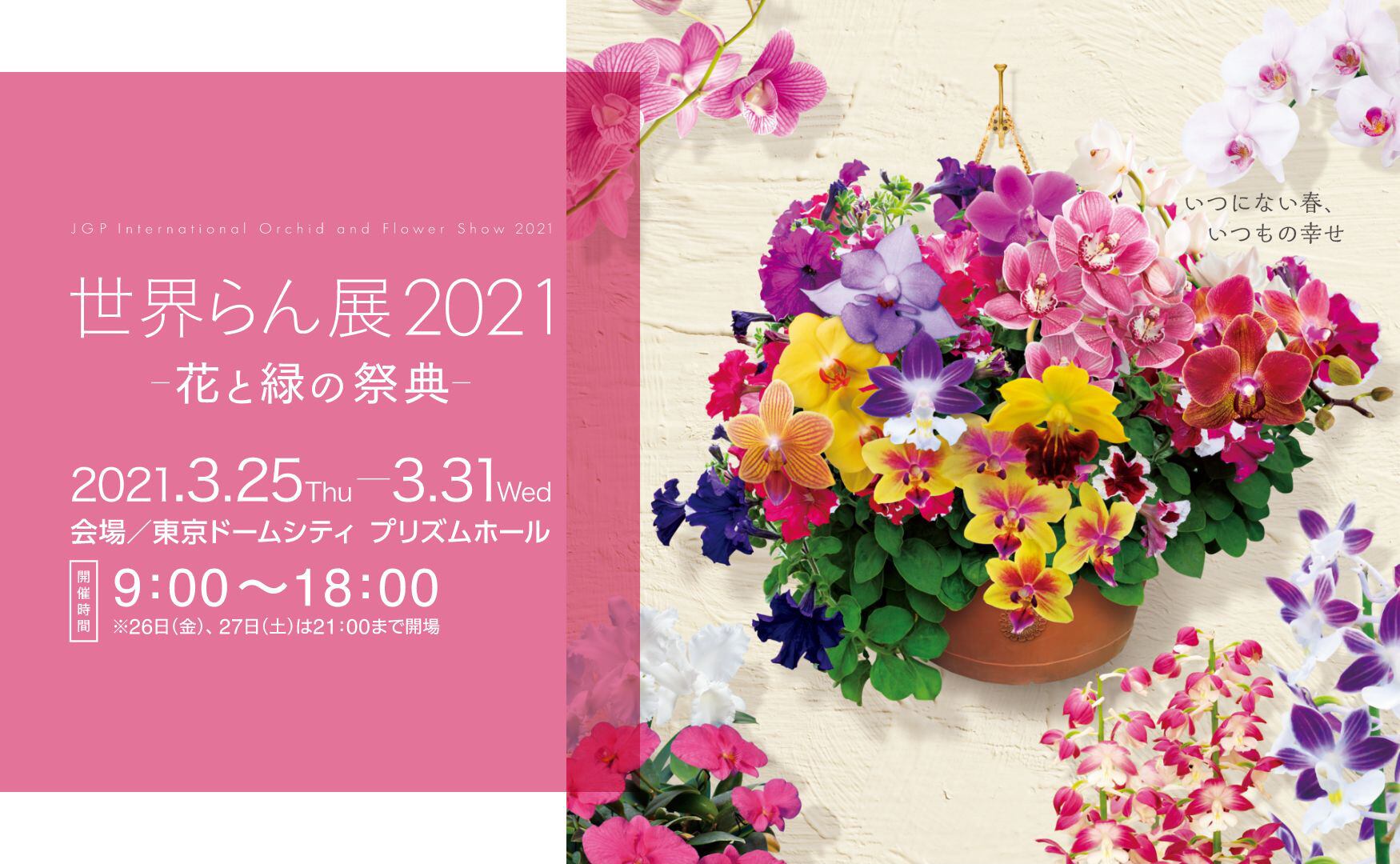 パンサー4号m2f 送料込 よいはな Yoihana 最高品質のお花をお届けするネット通販