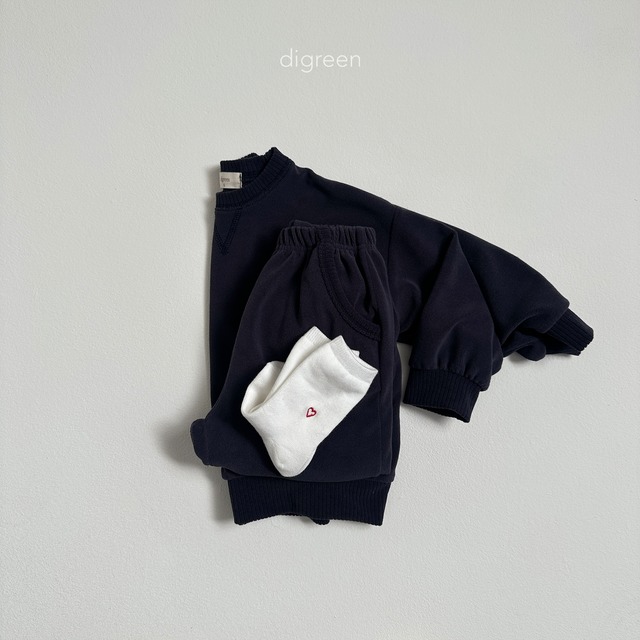 〘予約〙digreen / socks_heart