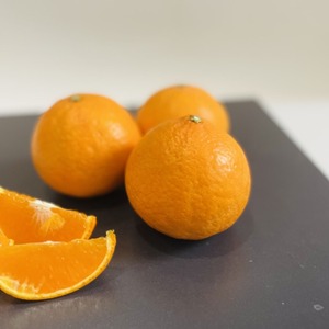 奇跡のみかん 紅プリンセス 愛媛県産5kg箱