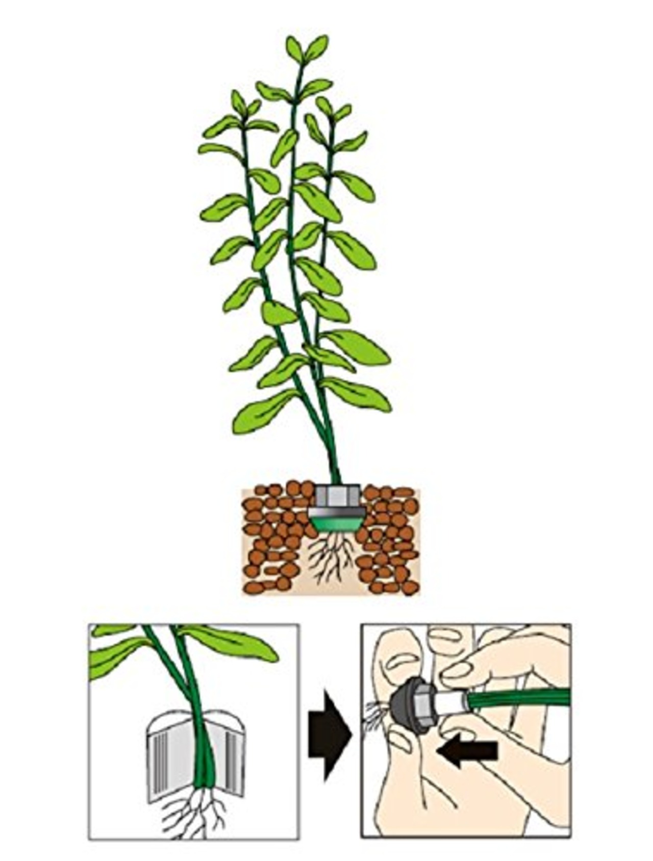 水草の安心おもり Mサイズ 2個入