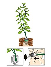 水草の安心おもり Mサイズ 2個入