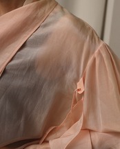 Lanvin / Sheer Blouse