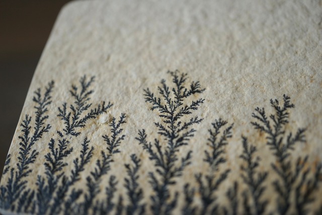 デンドライト 忍石 Dendritic limestone 1304
