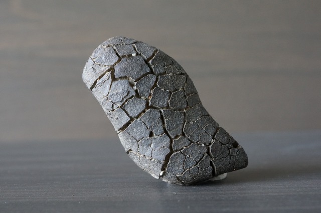 ゴビ砂漠産亀甲石　Gobi Turtleback Stone