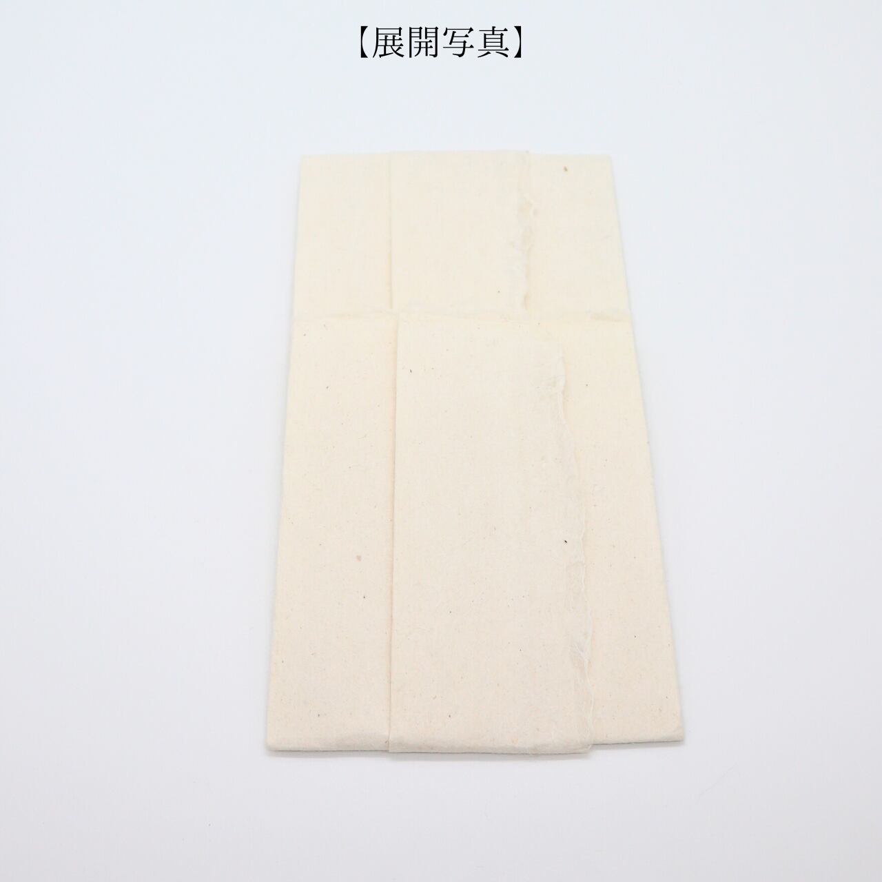 ご祝儀袋　#10　（special envelope）