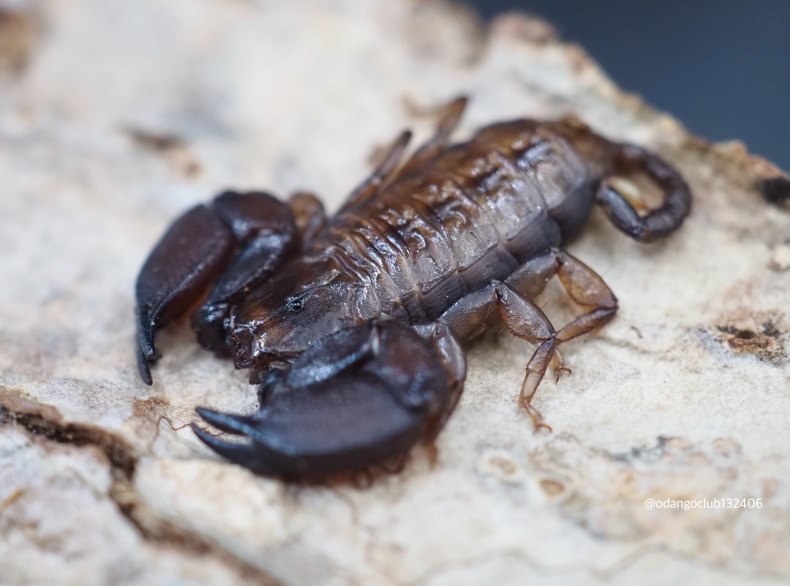 b54fc61df875457b612fcf6322d078