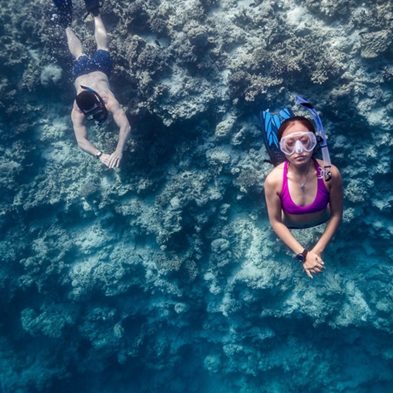 SUNNTO D4F スントデイーフォーエフ フリーダイビング用コンピューター