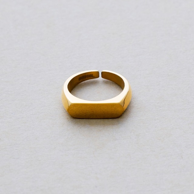 CAPSULE SIGNET RING