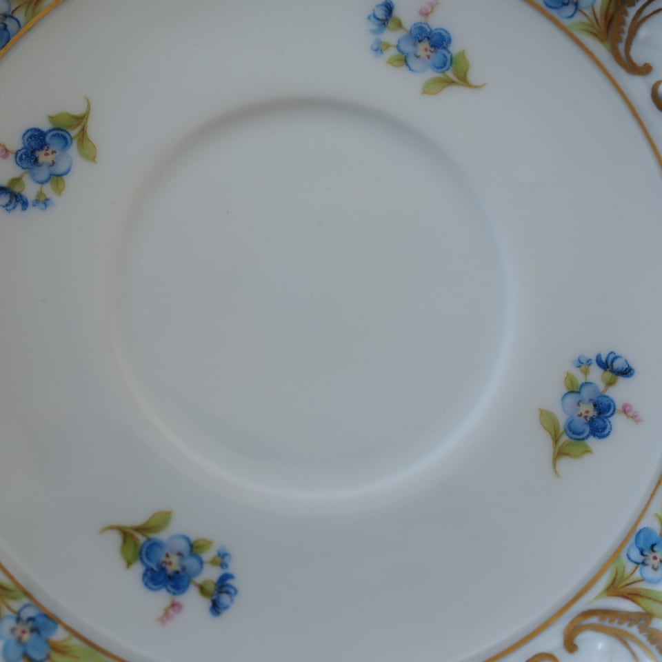 訳あり】シューマンババリア 勿忘草 カップ＆ソーサーB ドイツ