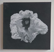 itpp［floracomposia］Panel Works