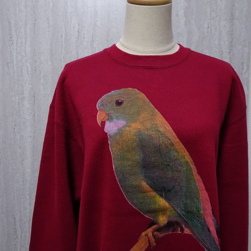 インコのプリント可愛すぎるスウェット【FRUIT OF THE LOOM HEAVY】90s-00s インコプリント スウェット