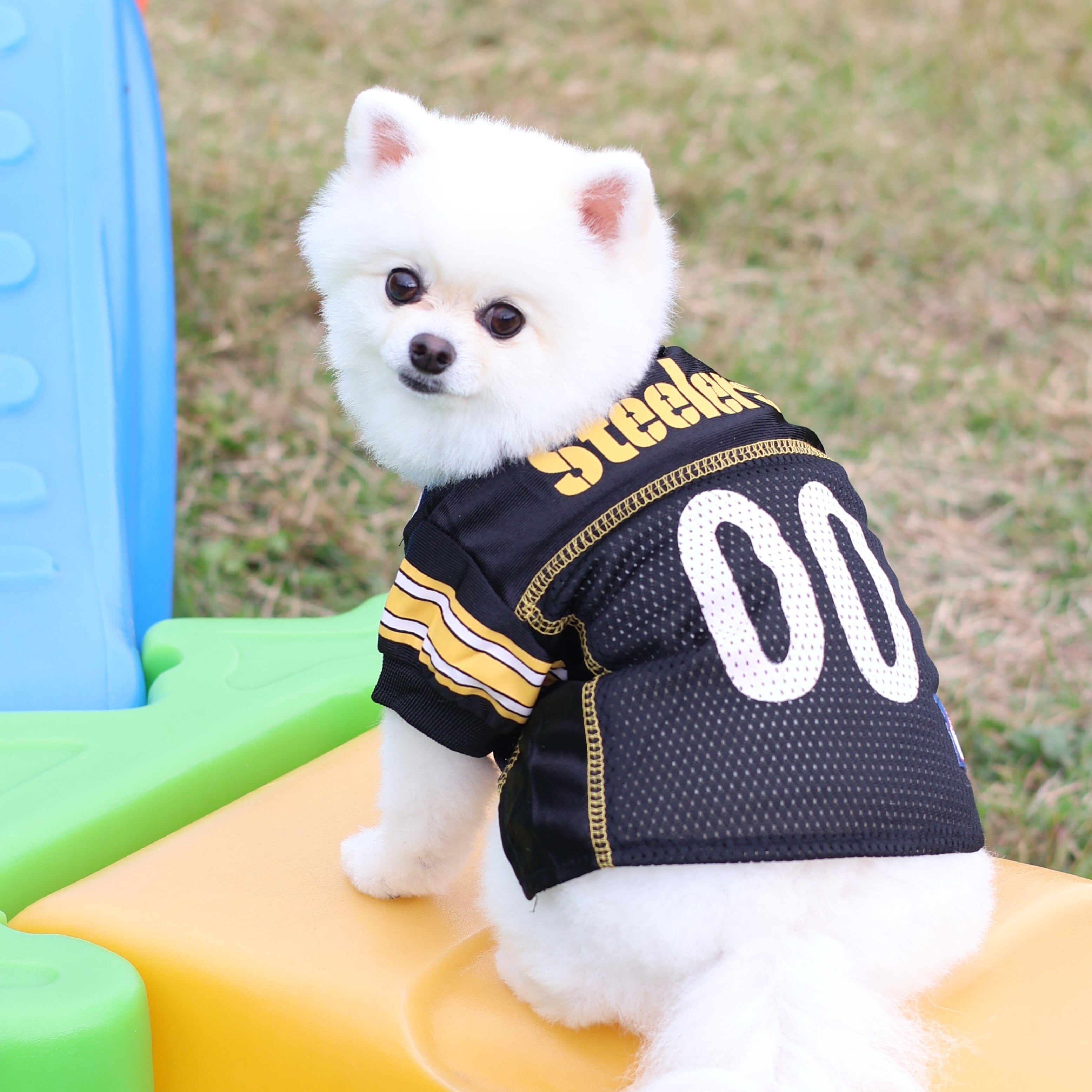 NFL Dog Wear | HundspaSS