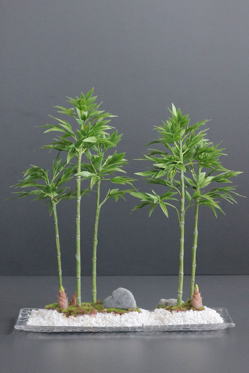 盆栽 竹 Bamboo Bonsai #158 | Oh! BONSAI