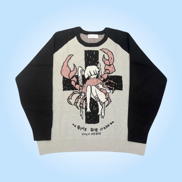 【Hiru is still alive × HONWAKA】Hiruxhell raglan knit