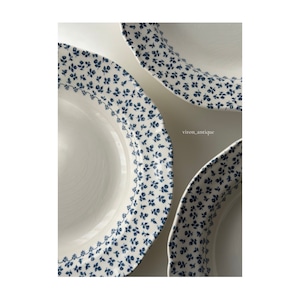 Gien ジアン / “Gérard” 青の小花の深皿プレート b