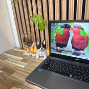 \ 公式ショップ限定価格❣️/ 《最新2023年モデル》Acer Aspire 5 15 フルHD 第13世代 SSD256GB ノートパソコン オフィス付き 安心サポート＆3ヶ月保証付き