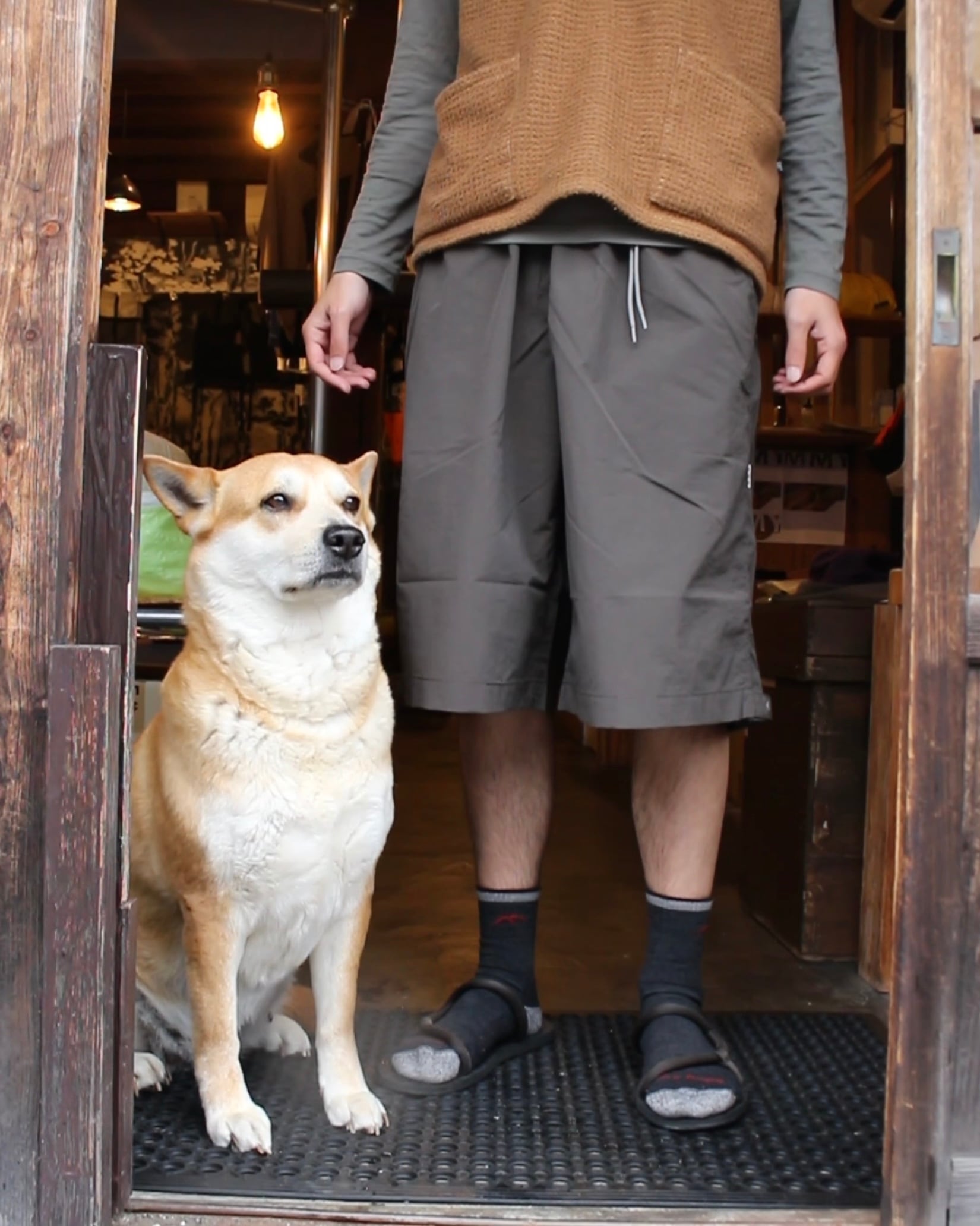 迷迭香 | NYLON HARVEST LOOSE SHORTS | MOMOYA 山の用品店