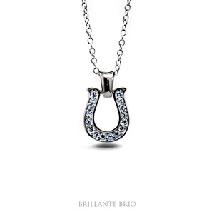 horse shoe s necklace