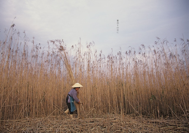 髙橋ノリユキPhoto book「Beautiful lagoon」