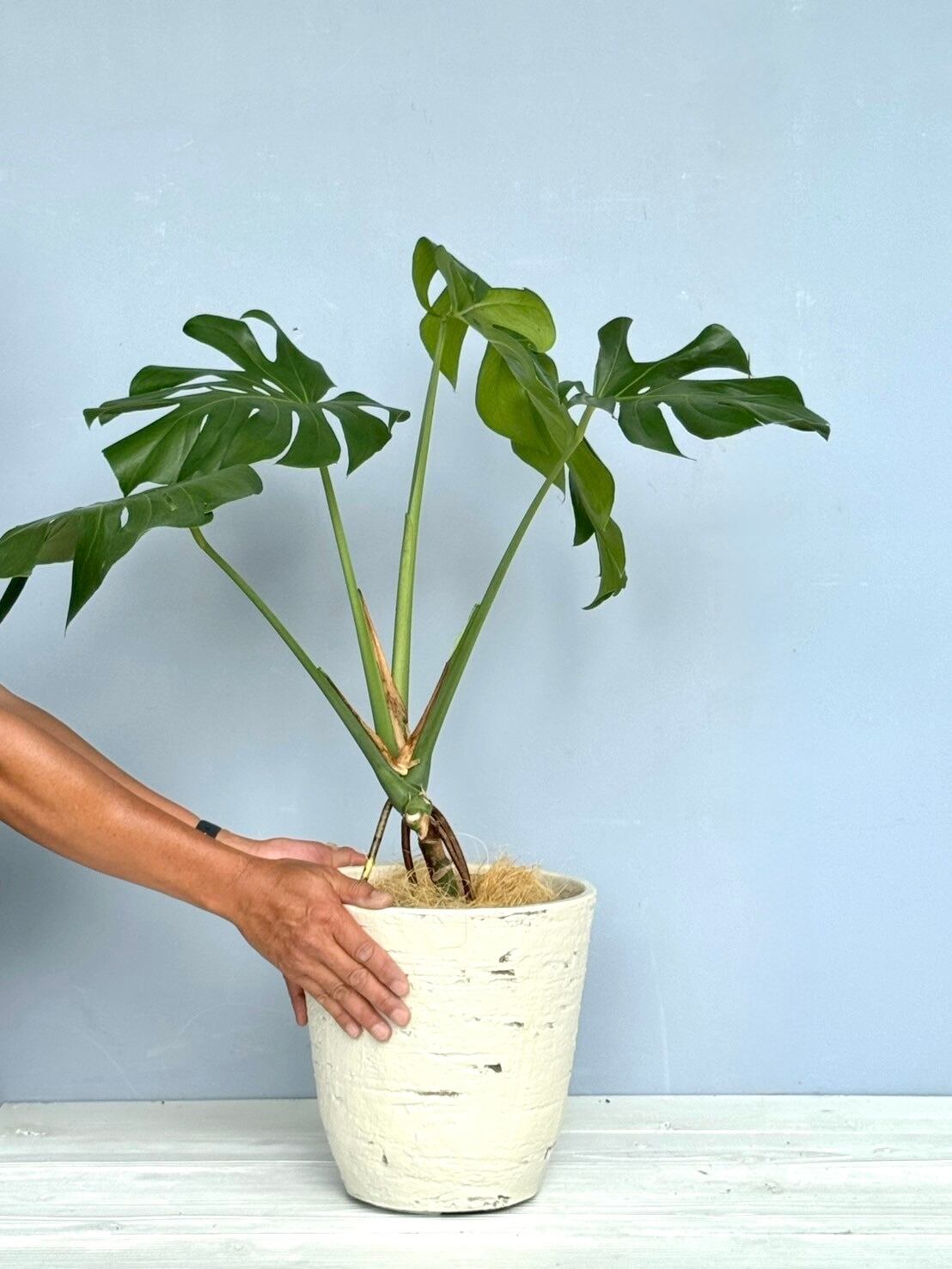 b56297378c590a0b7a1cdb50fee9c8